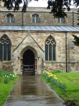 Daffodils leading to the porch of Shelford Church. 